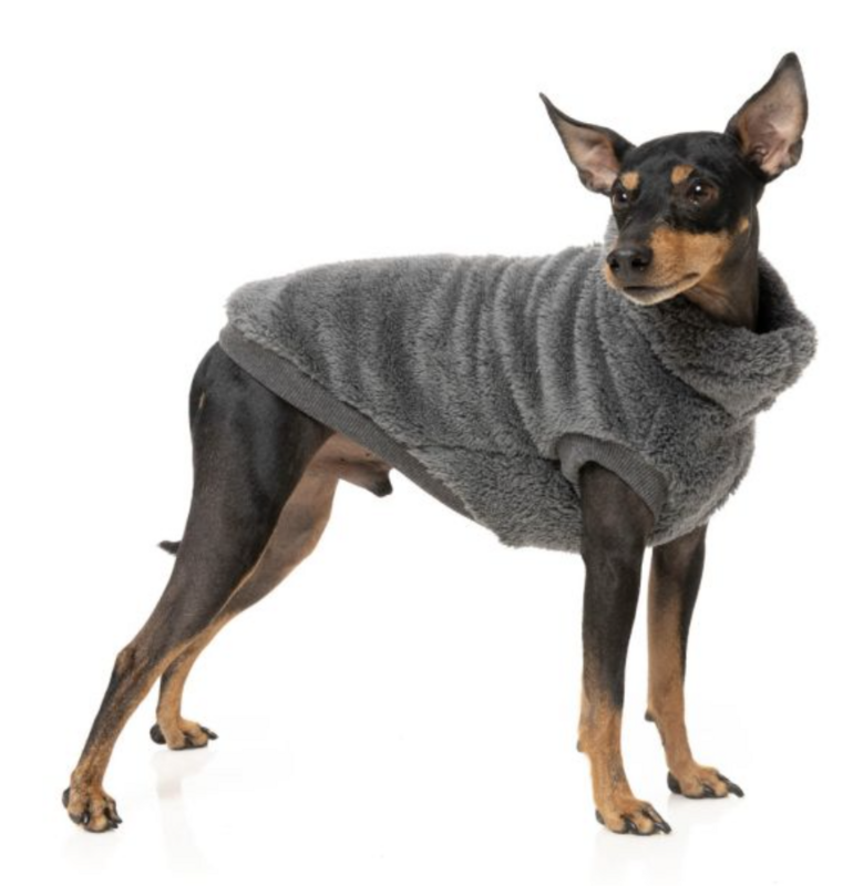Turtle Teddy Sweater Charcoal