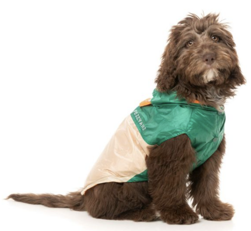 Ormond Raincoat - Green/Beige
