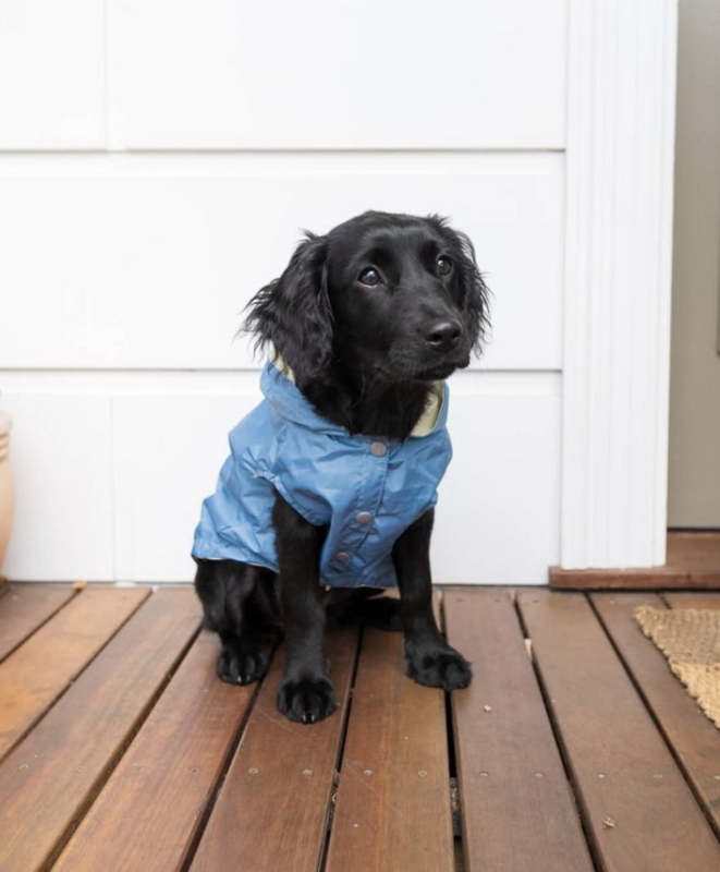Life Raincoat French Blue
