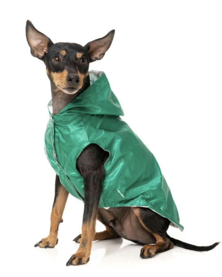 Flipside Raincoat - Green/Beige