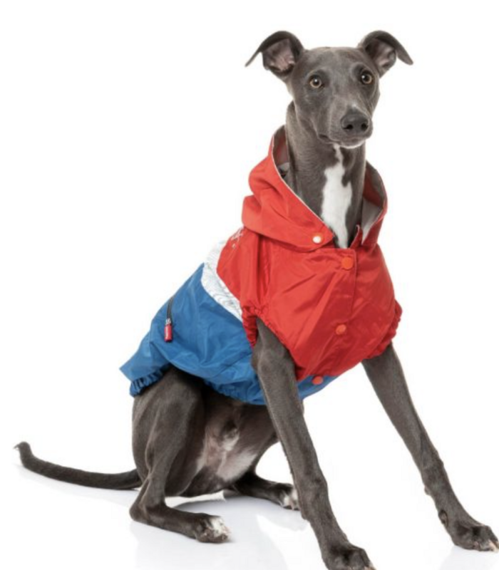 The Seattle Red/Blue Raincoat