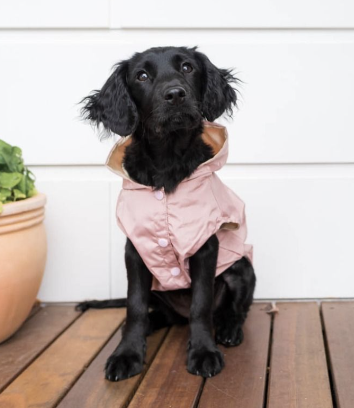 Life Raincoat Soft Blush
