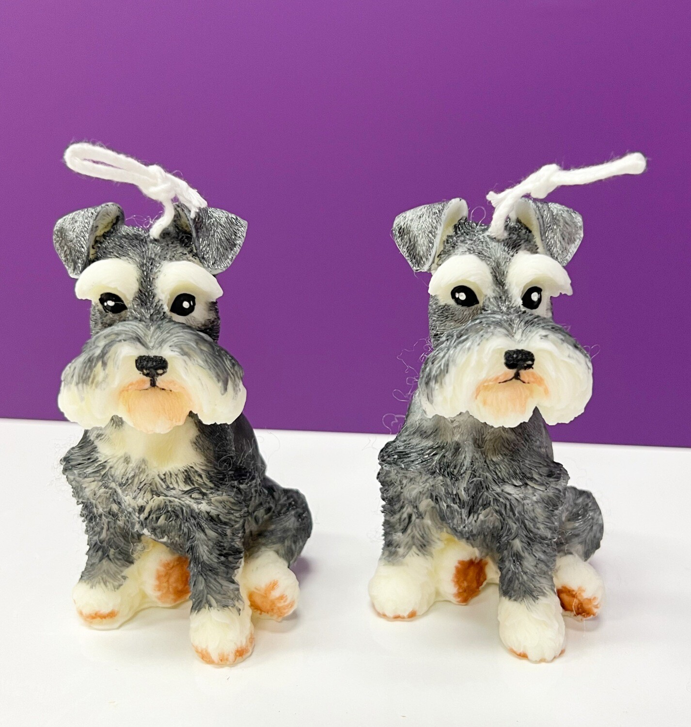 Candle - Schnauzer