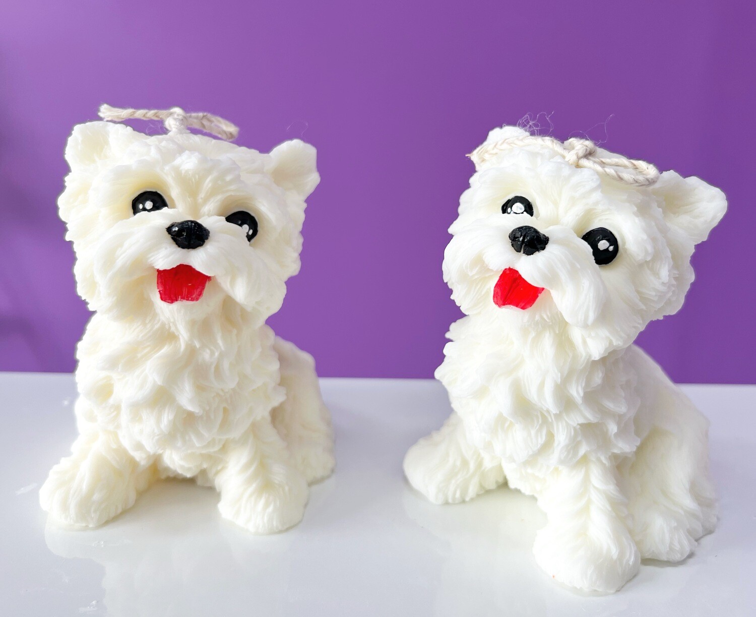 Candle - West Highland White Terrier