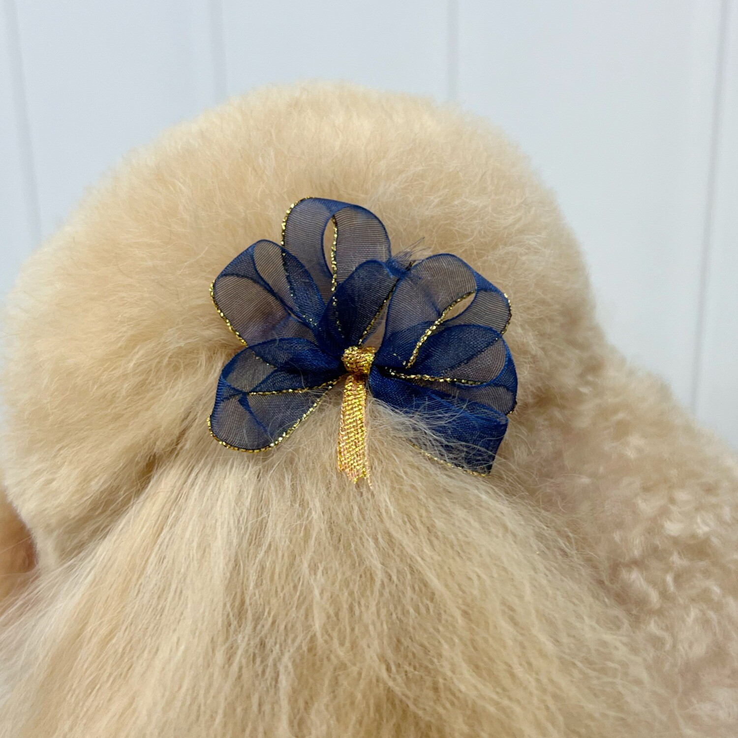 Ear Bows - Navy with Gold Glitter