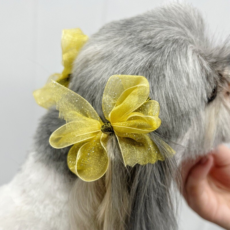 Ear Bows - Gold with Black