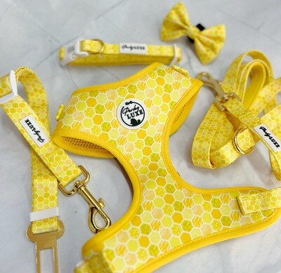 Harnesses