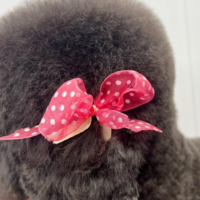 Ear Bows - Peach Polka Dot with Yellow