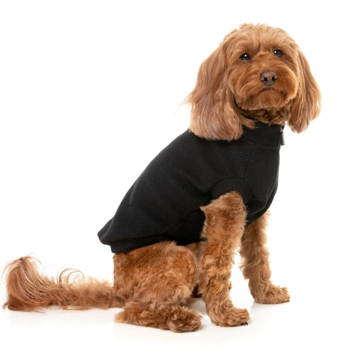 Cambridge Sweater Black