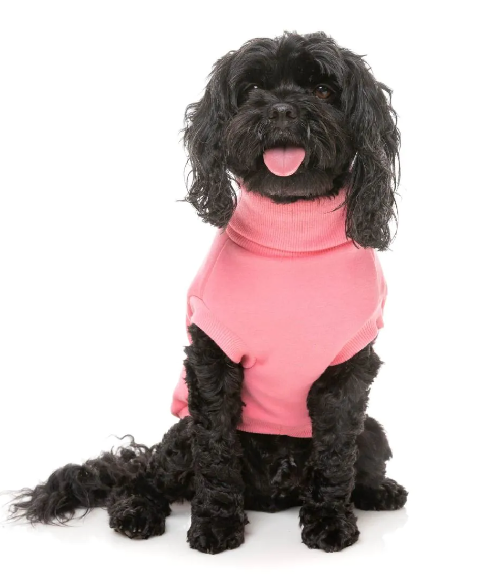Stevie 24 Sweater Pink