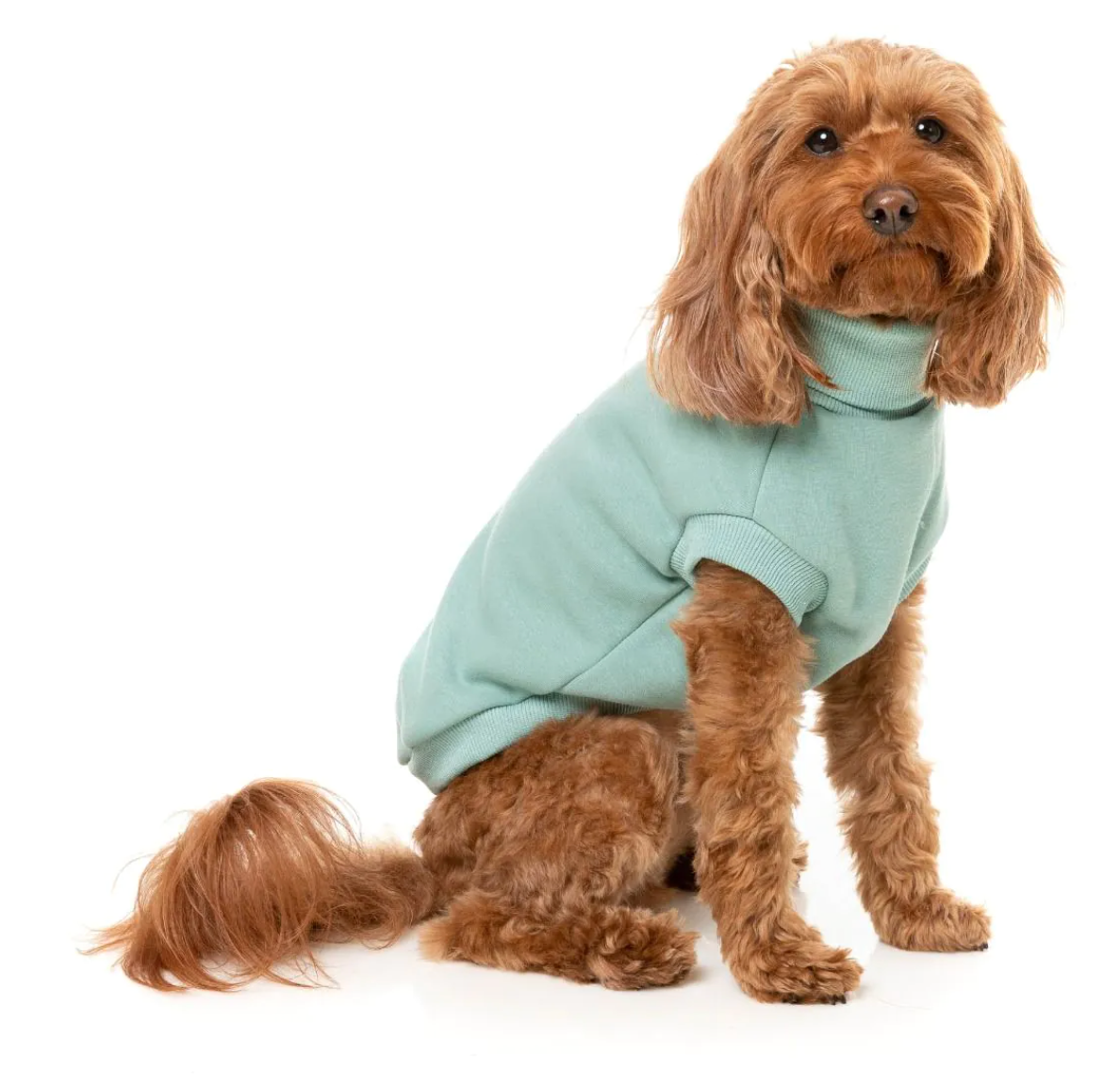 Stevie 24 Sweater Mint