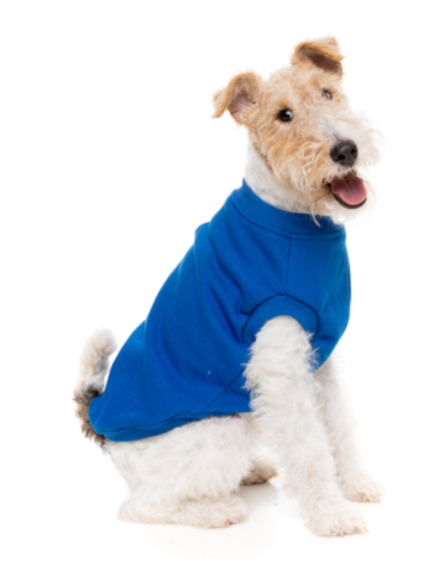 Allday Sweater Blue
