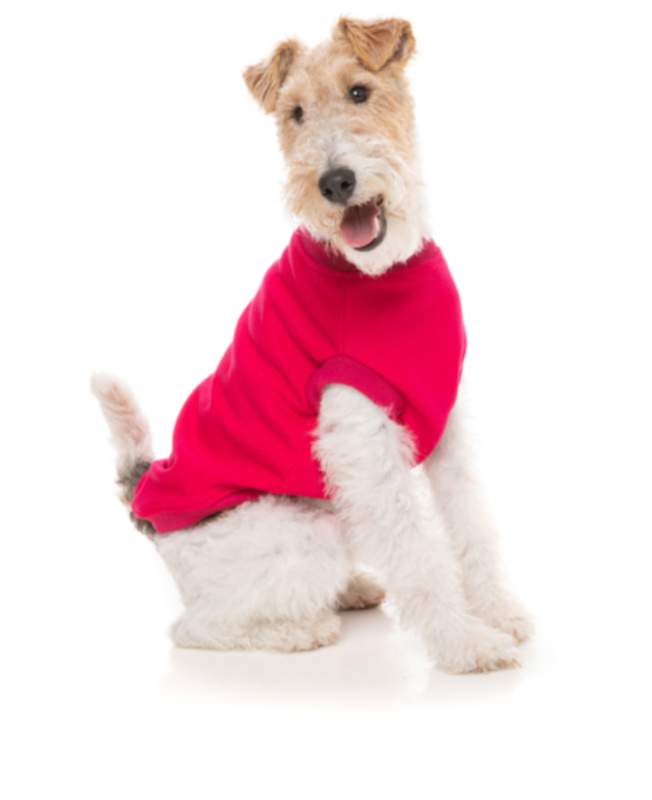 Allday Sweater Magenta