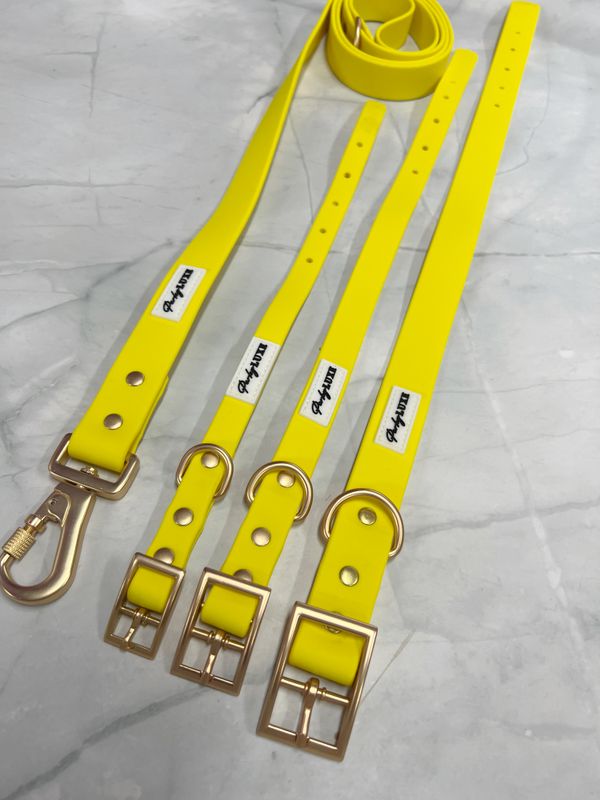 Sunrise Yellow Waterproof Collar