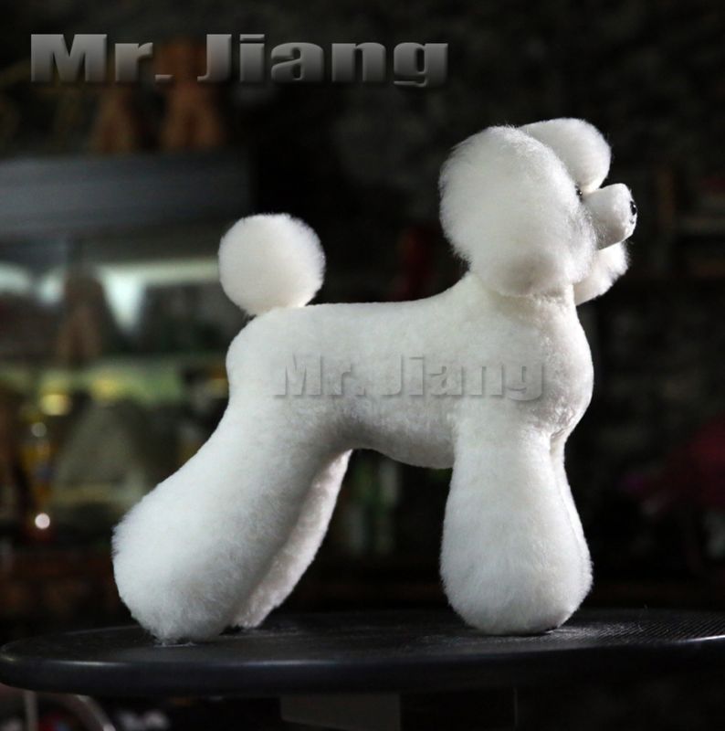 Mr Jiang Teddy Bear Full Body Coat - White