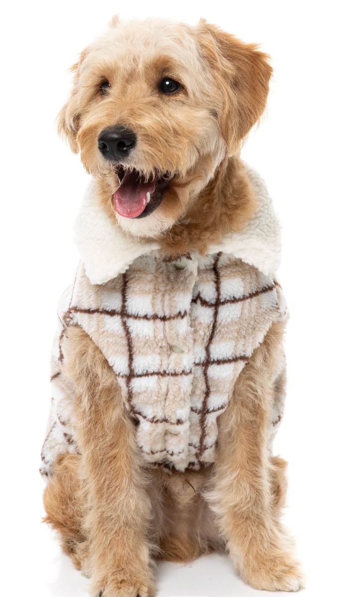 The Lumberjack Beige
