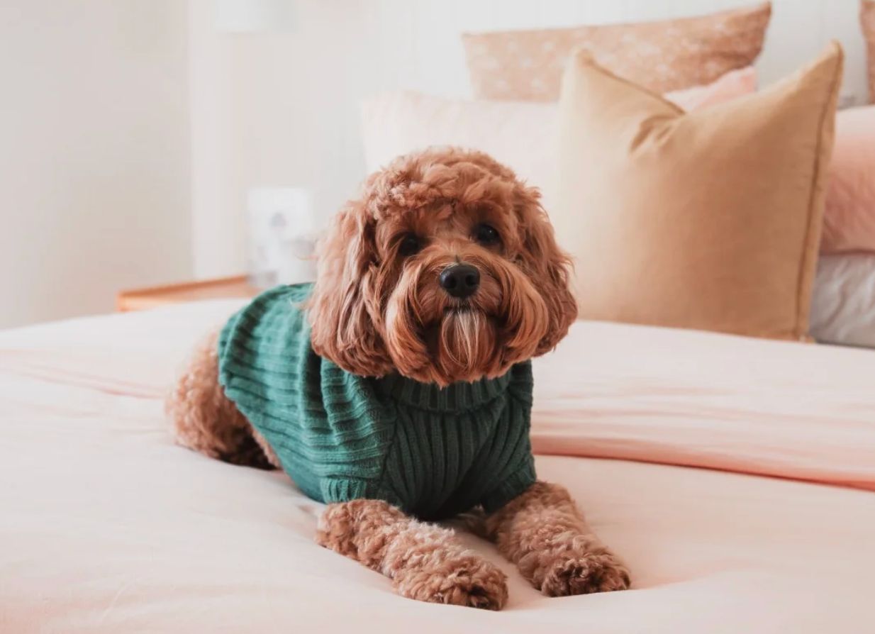 Life Knitted Sweater Myrtle Green