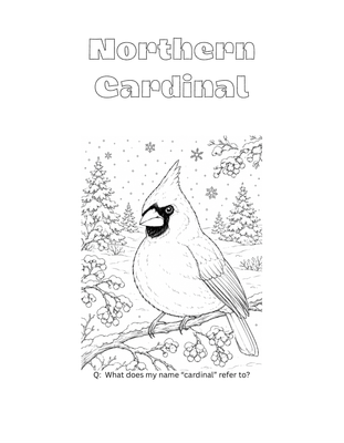 Fantastical Animals Coloring Book