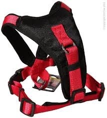 Pet One Comfy Padded Harness Red &amp; Black