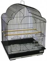 Avi One Bird Cage Fancy Top