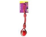 Rope Toy 2 Knots with Ball