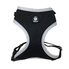 Huskimo Easyfit Harness - Dark Sky