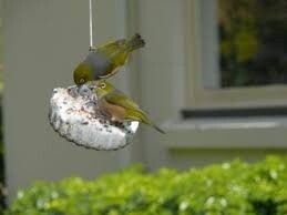 Topflite Wild Bird Gourmet Treat Hanger