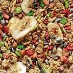 Topflite Rat &amp; Mice Premium Mix