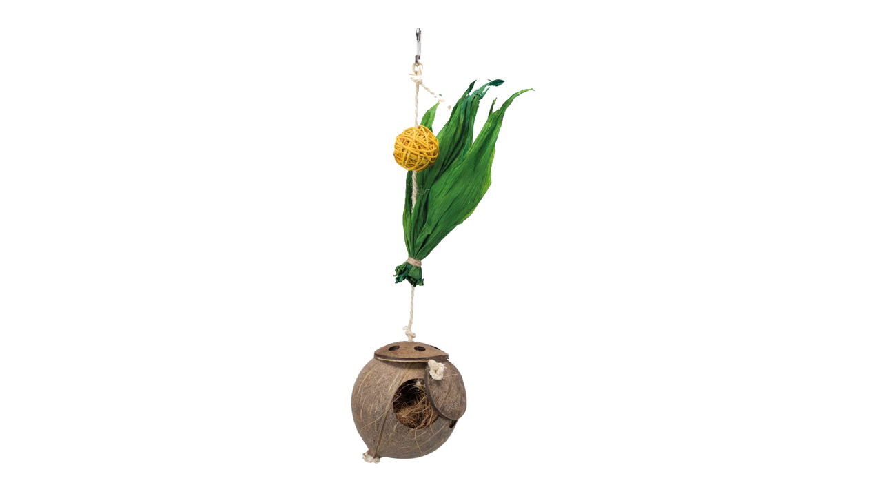 Hanging Coconut with Nesting Material