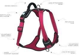 Huskimo Ultimate Harness - Uluru