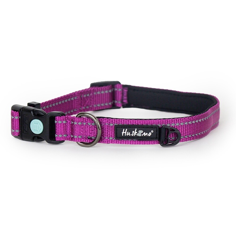 Huskimo Trekpro Collar - Aurora