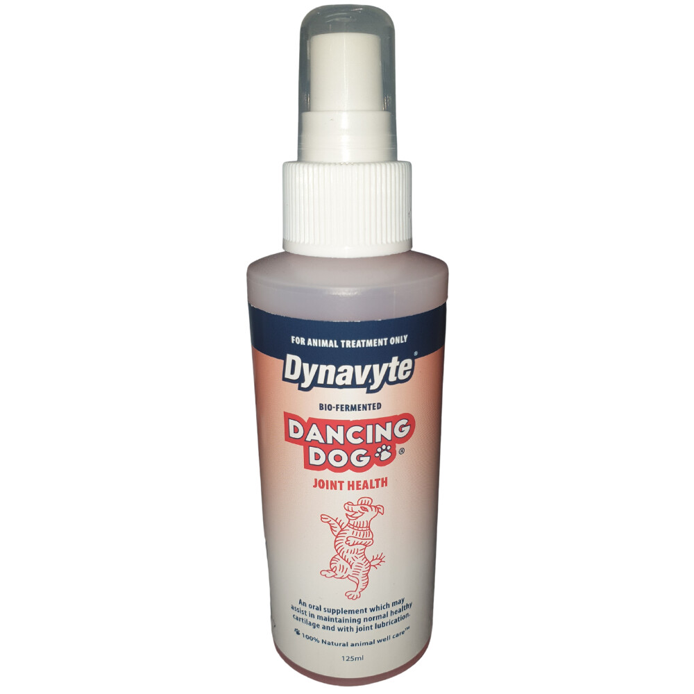 Dynavyte Dancing Dog