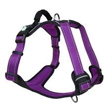 Huskimo Ultimate Harness - Aurora