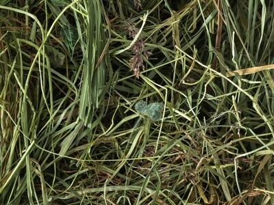 Topflite Hay - Meadow