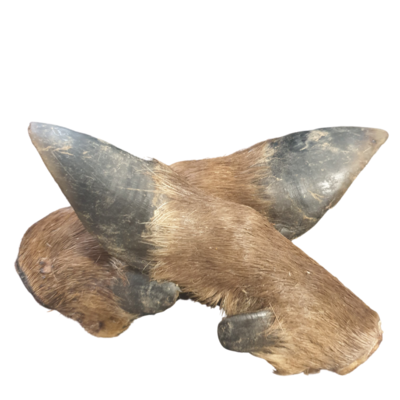 Venison Hooves