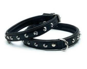 Pet One Studded Single Row Collar- Black