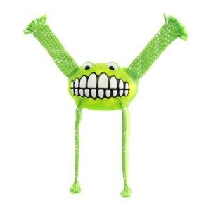 Rogz Flossy Grinz Lime