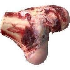 Canon Knuckle Bones