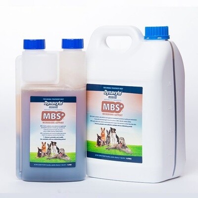 Dynavyte MBS for Working Dogs