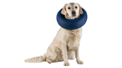 Brooklands Protective Inflatable Collar