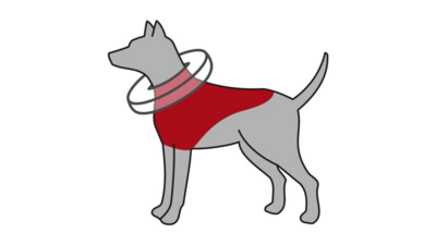 Brooklands Protective Inflatable Collar