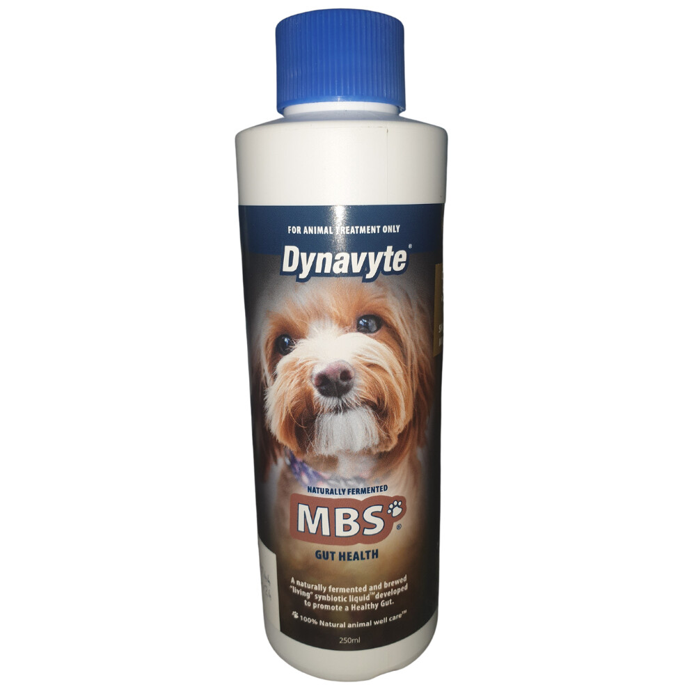 Dynavyte MBS for Dogs