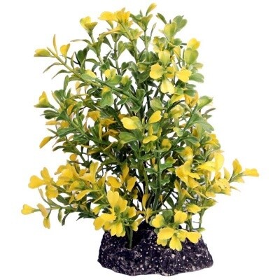 Ecoscape Medium, Type: Japanese Box Yellow