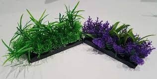 Ecoscape Foreground - Catspaw Purple &amp; Ambulia Green