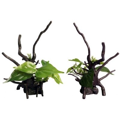 Ecoscape Devils Ivy Driftwood Green