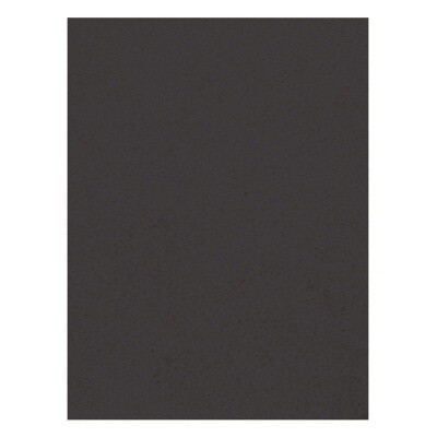 Aqua One Sponge - Self Cut Black