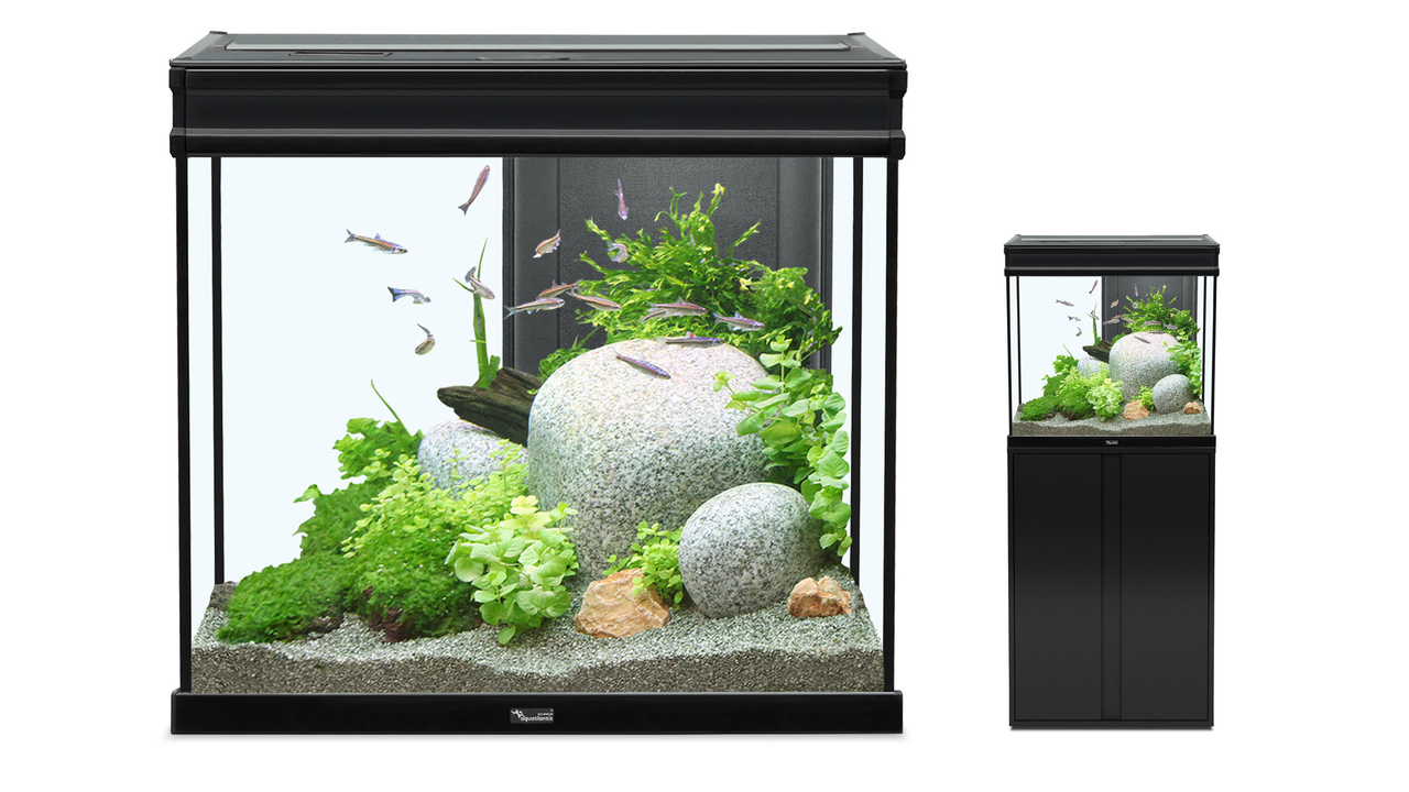 Elegance Expert Aquarium 105 litres