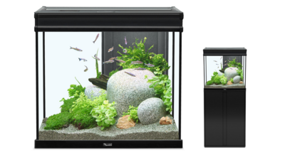 Elegance Expert Aquarium 105 litres