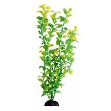 Ecoscape Large, Type: Hygro Green