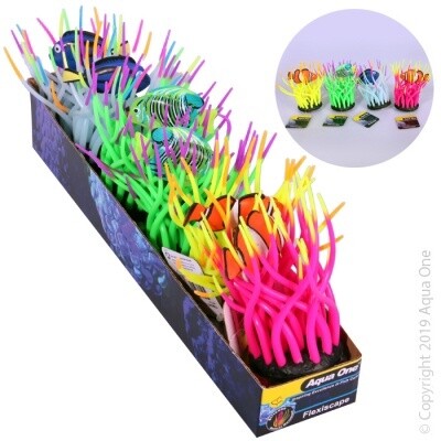 Aqua One Flexiscape Heliofungia with Fish